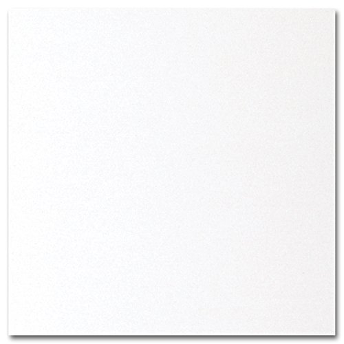 Image of Enclosure Cards, 4-7 /8 inch x 5 inch, 250 Count (RRENCWS)