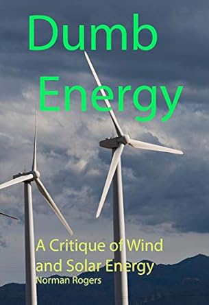 Dumb Energy: A Critique of Wind and Solar Energy