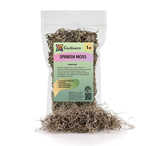 Gardenera Premium Natural Spanish Moss Natural Preserved - Great Ground Cover - Filler for Potted Plants - 1 Quart Bag GRD-SPANISH-MOSS-1QT