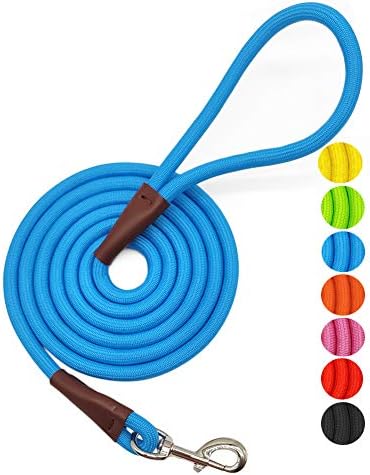 MayPaw 4FT/6FT/8FT/10FT Dog Leash, Classic Solid Colors, Durable Mountain Climbing Rope Dog Leash Reinforced with Leather Tailor Connection Heavy Duty Silver Clasp (Blue, 10 Foot)