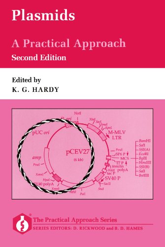 Plasmids: A Practical Approach: 138 (Practical Approach Series) view 2