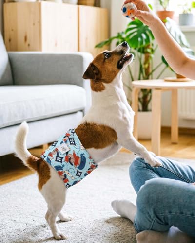 Image of CuteBone Dog Diapers Male 4 Pack Puppy Wraps Reusable Doggie Belly Bands for Male Dogs Small Medium Large