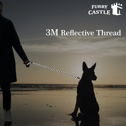 Image of Nylon Rope Leash for Dogs with 360 Degree Rotation- Black in Medium Size