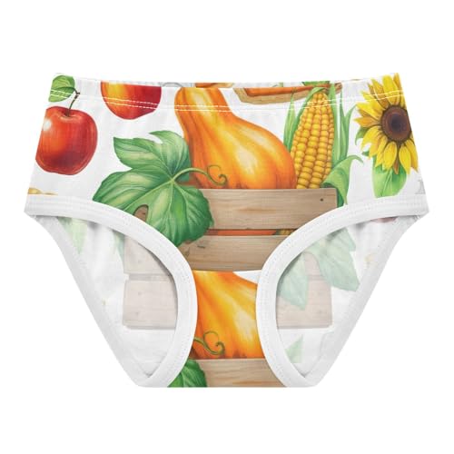 Toddler Underwear Floral 2t Cotton Cute Panties Girl Funny Briefs Undies Kids Autumn Harvest Pumpkins - Main Image