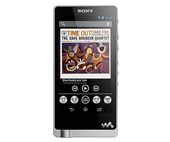 SONY - Shazam様の専用 AGC日本製ガラス】 SONY walkman NW-ZX500シリーズ専用 NW-ZX507