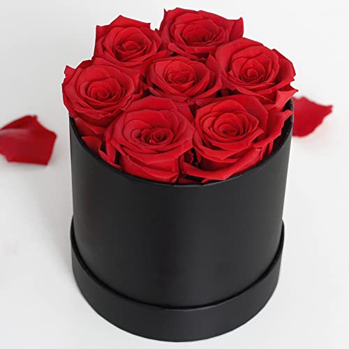 Preserved Rose in a Box Real Roses That Lasts for Years Long Lasting Roses Valentines Day Gifts for Women Her from Daughter, Fresh Flowers for Delivery Prime Birthday Gifts (7 Roses)