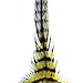 Montana Fly MFC Barred Saddle Hackle Olive/Black