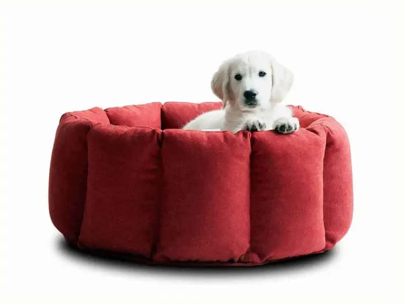 Pet Smile Super Soft Reversible Bed for Indoor Cats and Dogs, Round Sofa Basket for Puppy and Kitty, Comfortable Pet Bed (M)