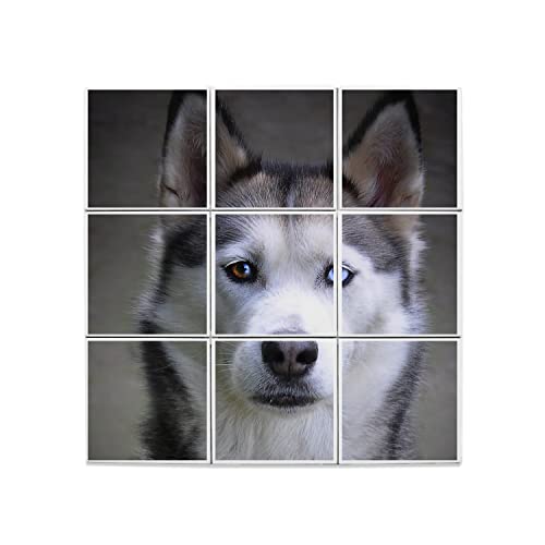 Carreaux céramique husky décoratifs : lot de 9 dalles murales pour salon