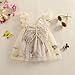 Infant Newborn Babygirl Outfit Mesh Tulle Flower Butterfly Embroidery Sleeveless Adorable Princess Dress (Khaki, 6-9 Months)