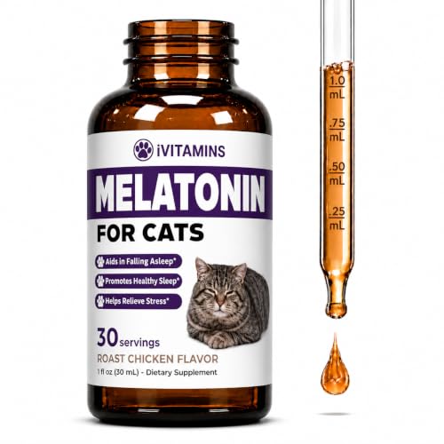 Melatonin for Cats | Supports Healthy, Restful Sleep for Your