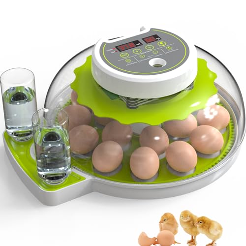 Couveuse automatique 18 oeufs pour reussir vos incubations de volailles