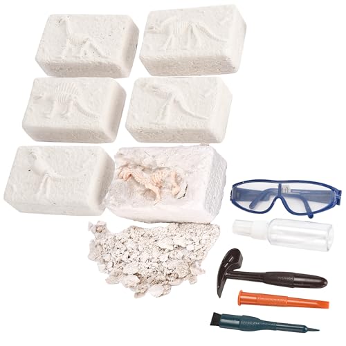 Dazmers Dino Fossil Dig Kit - Digging Toy with Excavating Tools & 6 Different Dinosaur Skeletons - Includes Chisel and Tools - Fun Entertainment for Kids to Learn Archaeology, Science and STEM