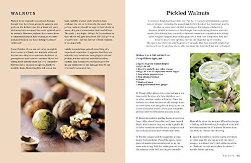 The Hedgerow Cookbook: Delicious Recipes for Foraged Food - Image 5