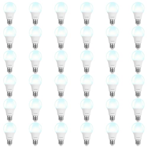Image of BUBO 36 Pack A19 LED Light Bulbs, 60 Watt Equivalent LED Bulbs, Daylight 5000K, 800 Lumens, E26 Standard Base, Non-Dimmable, 8W Daylight LED Bulbs for Bedroom Living Room Home Office