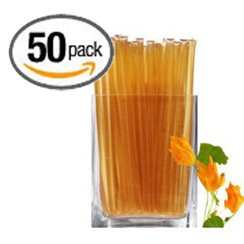 Floral Honeystix Pumpkin Blossom 100 Honey Pack of 50 Stix Honey Sticks