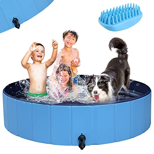 Find The Best Hard Plastic Kiddie Pool Reviews & Comparison Katynel