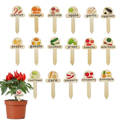 Etiquetas Para Plantas - 17 Unidades De Marcadores De Madera | Señales Divertidas Para Huerto, Estacas De Jardín, Accesorios De Jardinería Para Suculentas Invernaderos Y Balcones