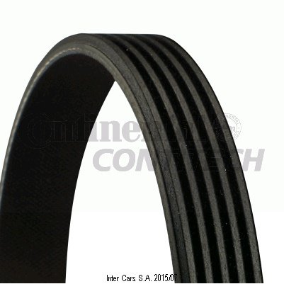 Kelrppenremen CONTTECH 7DPK2569 für VW PASSAT B5.5 (3B3) 4 2001
