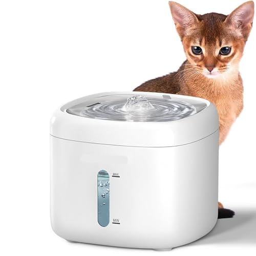 Fuente de agua para gato de acero inoxidable 74oz