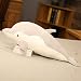 Dolphin Cuscino Stuffed Animals Chubby Blob Sigillo del giocattolo della peluche bambola Cuscino Giocattoli molle dell'ammortizzatore comodo cuscino Huggable regalo farcito Giocattoli for ragazzi e ra