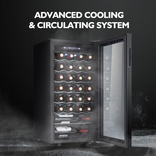 STAIGIS 28 Bottle Compressor Wine Cooler Refrigerator, Small Freestanding Wine Fridge for Red, White and Champagne, Mini Fridge with 40-66F Digital Temperature Control Glass Door on Fridge.com