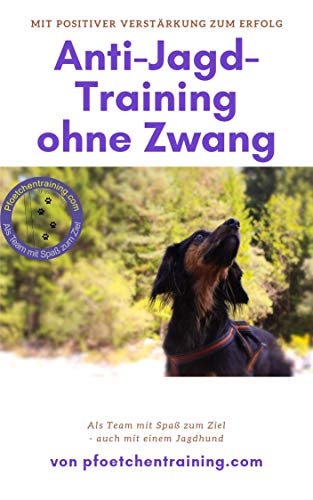 Anti-Jagd-Training ohne Zwang: Mit positiver Verstärkung zum Erfolg