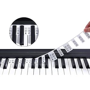 Fansjoy Piano Key Notes Guide for Beginners, [No Need Stick] Removable Piano Keyboard Note Labels Overlay for Learning…
