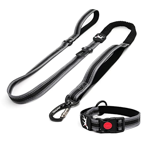 Dog Collar and Leash Set,Bungee Heavy Duty Adjustable High Reflective Dog Collar Leash 4-6Ft Length with 2 Control Soft Padded Handle with Car Seat Belt for Large Dog Daily Training Size:L-B