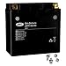 Produktbild YT14B-BS Gel Batterie für BT 1100 Bulldog Baujahr 2002-2006 von JMT