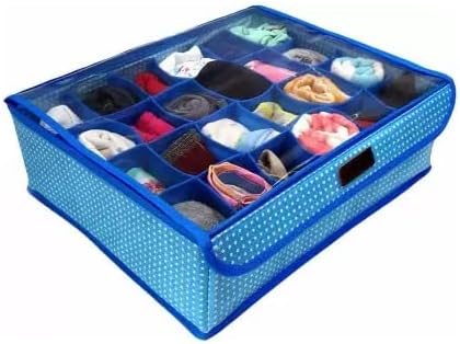 Ethiana 24 Compartments Undergarment Organizer Storage Box with Lid for Drawers, Bra, Socks, Tie, Lingerie Organizer for Wardrobe (Multicolored)