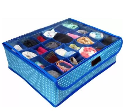 Ethiana 24 Compartments Undergarment Organizer Storage Box with Lid for Drawers, Bra, Socks, Tie, Lingerie Organizer for Wardrobe (Multicolored)