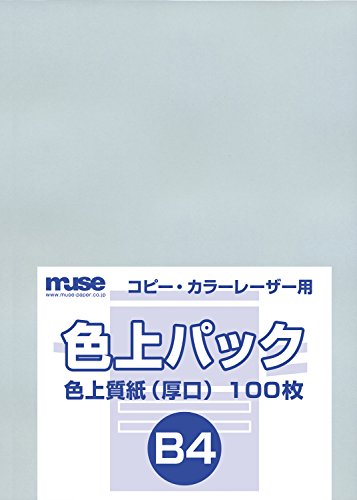 Mortier hydrofuge Muse Input 100 B4 la solution durable contre les infiltrations d'eau