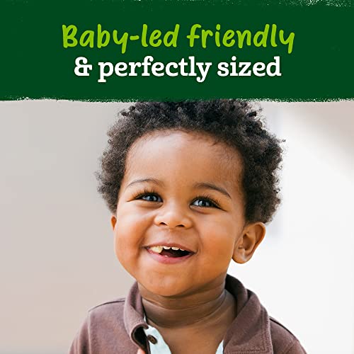 Gerber Organic Baby Food, Toddler, Plant-Tastic, Plantsyum Hearts, Lentil Banana Carrot Raspberry, 1.48 Oz, Pack Of 4 #TOP3