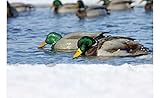 Avery PG Mallards-Surface Feeder Pack (Pair)