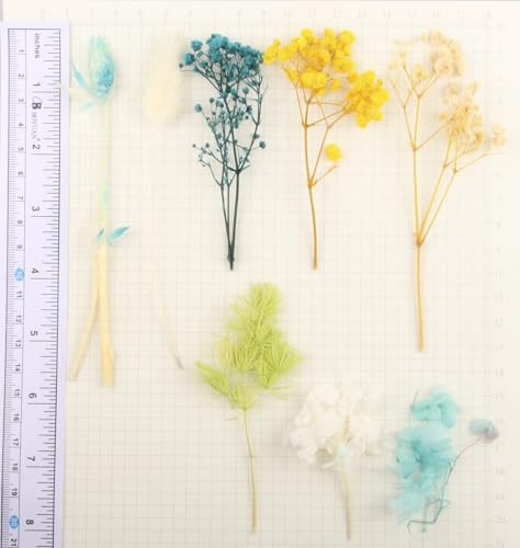 Flores secas 135 gramos para manualidades variadas miniatura 3