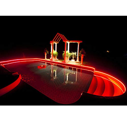 Cinta LED RGB 24V 80Ft IP67 con Control Remoto miniatura 4