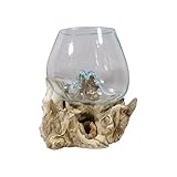 Terrario para cactus de madera y cristal
