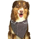 mostrador antiguo tienda Tamaño Triangular Es De 46x70 Cm. Mide La Circunferencia Del Cuello De Tu Perro Para Asegurarte De Que La Bandana Se Ajuste O No.