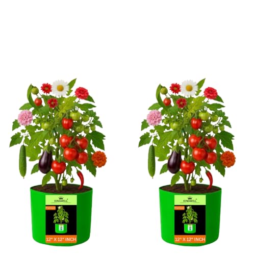 Image of Kingwell Plant Grow Bags 12x12 inch pack of 2, Bags for Plants Gardening Home, Grow Bags for Terrace Gardening