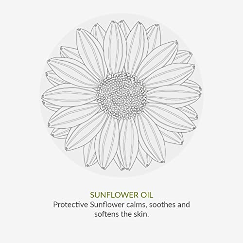 Green People Scent Free Deodorant 75ml | Natural & Organic Sensitive Deodorant | Gentle Deodorant for Men & Women with Sensitive Skin | Unperfumed, Paraben Free & Ethanol Free | Cruelty Free & Vegan - Image 6