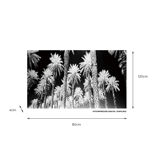 LOLAhome Wandbild mit Palmen auf schwarzem und weißem Hartglas, 120 x 70 cm