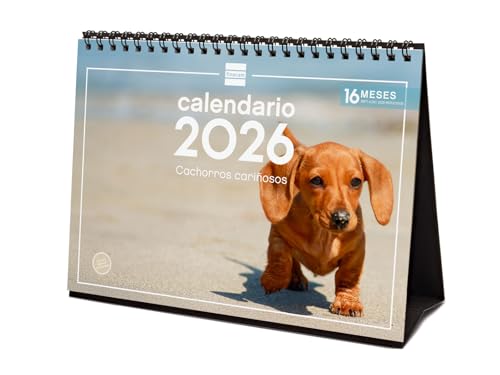 Finocam   Calendario de sobremesa 2026 Mes Vista Enero   Diciembre 2026 + Sep.  Dic. 2025 (4 meses) reducidos | Calendario 2026 | Imágenes Cachorros   Español