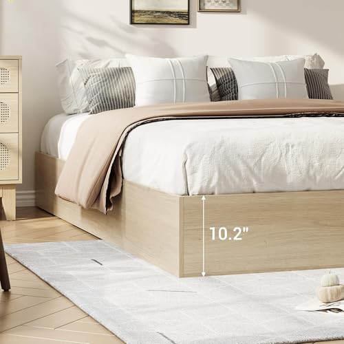 Image of GarveeHome Wood Platform Bed Frame, King Bed Frame with 2 Drawers