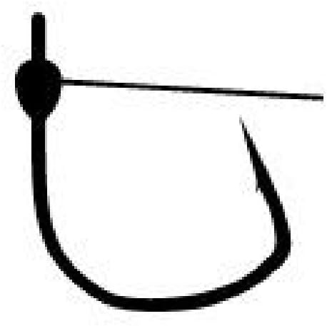 ZAPPU Captain Hook Eye Guard #1
