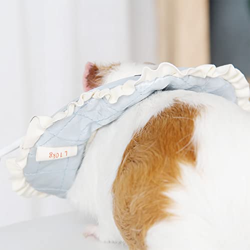 Image of HomeSoGood Guinea Pig Elizabethan Collar, Blue Light, L, Cotton, Adjustable, Post-Surgical Recovery