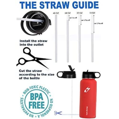 Image of Hydro Flask Replacement Straws Wide Mouth, 6 Pack with 2 Brushes 9.5 Inch