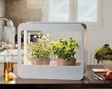 Lebensdauer: 25000 Std Romberg 16294399 Mini-Garten mit LED-Beleuchtung, Weiß, 50,5 x 21 x 40 cm