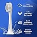 Chinystyle Toothbrush Replacement Heads, Compatible with Suri Electric Toothbrush Replacement Brush Heads for Suri Sonic Electric toothbrushes,White 10-Pack