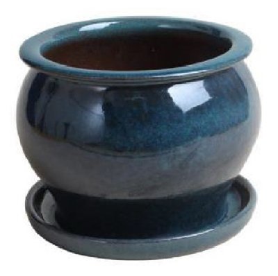 Amazon.com: TRENDSPOT DB10021-11J 11